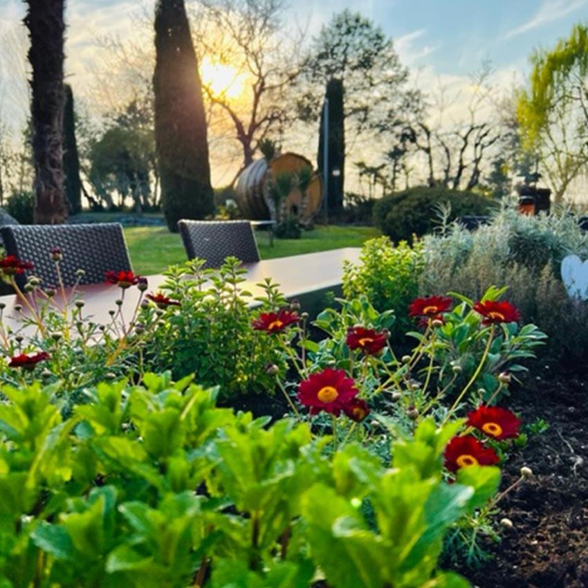 Agriturismo Le Fornase Villa Castelnuovo del Garda Exterior foto